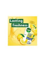 Dettol Washing Machine Cleaner, Lemon 250 ml - Image 4